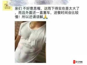 宏 Gay 被猛男疯狂cao 精品外卖的劲爆场景