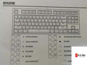 妖精剑士F PC版键盘操作与键位设置深度解析指南