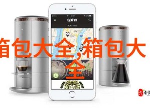 DW 成品网站成品揭秘：全面深入剖析其背后的细节与特点