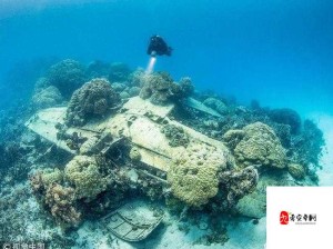 超能动物联盟深海遗迹首关通关秘籍，资源管理要点与技巧