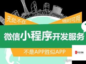 芒果视频 app 下载汅 api 免费下载旧版的便捷途径