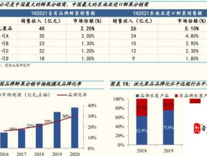 日本三线品牌与欧洲品牌全方位深入对比及差异解析