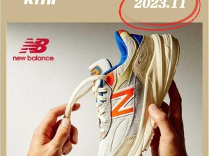 990v6 美版和亚洲版有何不同之处？