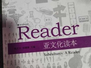 糙汉 1-NH 现象：从亚文化到社会议题的探讨