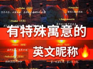 猫咪 MV 最新地域网名怎么取：探索创意与独特性的秘诀