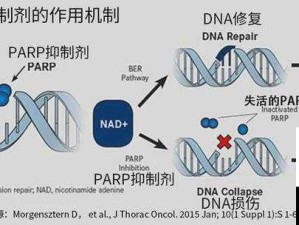 三管齐下 4ph：提高效率的有效方法