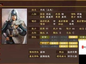 三国志13电脑增援打法攻略，全面揭秘破解无限增援秘诀