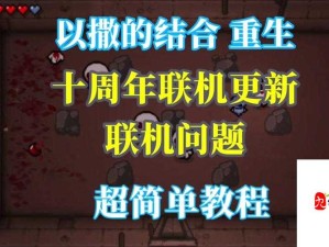 以撒的结合重生，全面解析人物道具伤害与高效管理策略