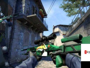 CSGO 大姐姐 AWP 核实长久封禁发声事件探讨