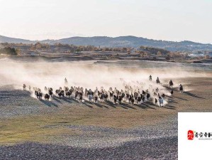 随着马的奔跑更加深入古代：探寻古老岁月的神秘旅程