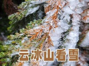 震撼两座雪白玉峰如精灵般弹跳而出