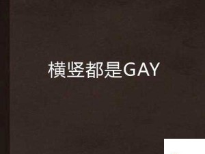 Gay 空少 2023XXXXHD 引发的别样精彩故事