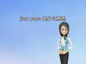 解析 JANPENSEVISA：揭开神秘面纱