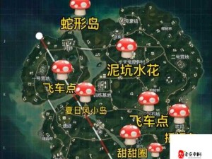 和平精英海岛打卡点具体位置经历了哪些演变？揭秘其演变史专题