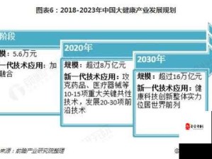 大尺码 2023：关于大尺码 2023 的深度探讨与分析