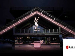 YSL 千人千色 T9T9T9APP ：带你领略独特美妆魅力之旅