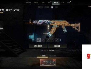 PUBG游戏相关物品河北采花PUBG专卖网：提供优质服务与选择