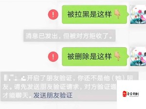 如何屏蔽微信好友？详细步骤与方法大揭秘，快来了解一下