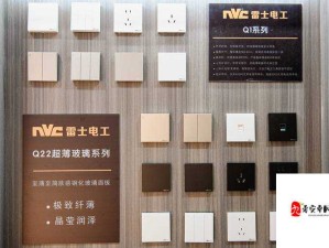 国产 SSWWSSWW 引领家居新潮流：品质与创新的完美结合