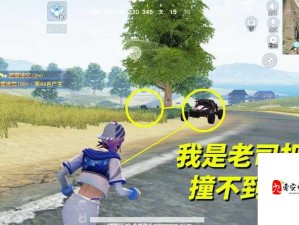 荒野行动公路惊魂，老司机无辜遭乱枪射击身亡