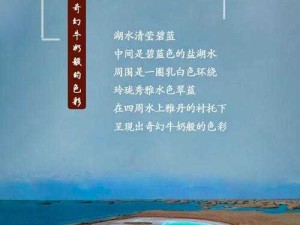 51 无人区码一码二码：探索其背后的神秘世界与独特意义