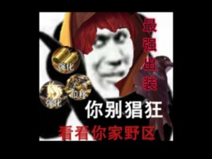 瓶子深度剖析，远程战士刘备出装搭配与实战技巧全攻略