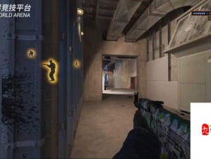 CSGO暴躁小阿姨可免费使用激动发言：带你领略激情电竞时刻