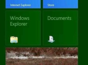 国外免费 Windows：探寻其背后的秘密与使用注意事项