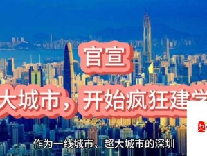 超大城市命名受限下的资源管理策略优化方案