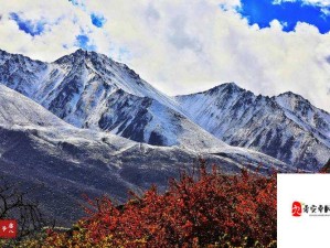 高耸的雪峰衬着巨大的蓝天：震撼心灵的自然奇景