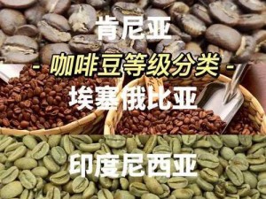 麻豆一二三产区在产品特色等方面的区别探讨