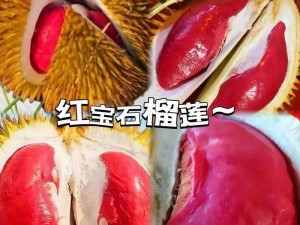 榴莲推广app网站入口：开启榴莲爱好者的美味之旅