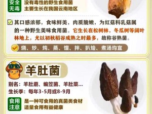 蘑菇科普：关于蘑菇的种类特性及营养价值等全面介绍