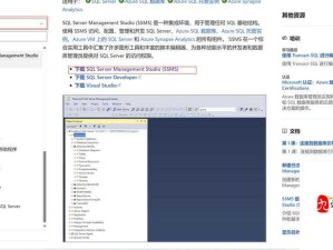 中国大肥胖 VPSWINDOWS：探讨肥胖问题的窗口