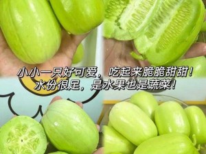 水果、蔬菜、花卉的奇妙组合：榴莲、秋葵、向日葵、丝瓜、黄瓜