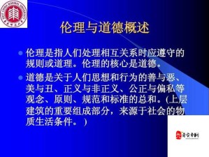 探讨社会现象：偷操行为的伦理与法律边界