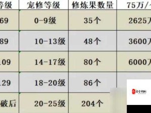 梦幻西游手游，全面解析法宝修炼与资源管理高效策略