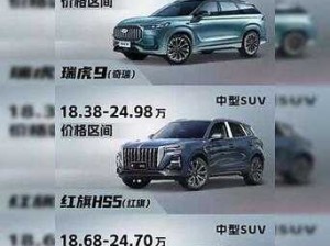 国产 SUV 精二区 69 独特魅力大揭秘