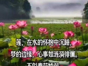 女子半夜莲花开是不是刚做过之相关探讨与分析