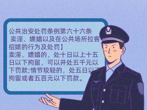 乡村嫖妓事件引发的道德与法律思考