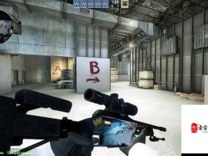 暴躁老阿姨 CSGO 技巧大全视频：全方位教学与实战解析