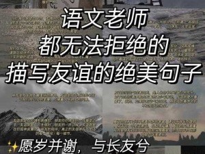 两个人视频：展现真挚友情与难忘瞬间的精彩记录