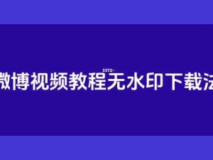 3.0.3 每天无限次破解版安装教程：详细步骤助你轻松搞定