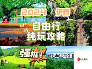 伊春园 2024 入口直达大象：开启奇幻之旅