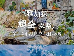 东南亚怡红院网：探寻独特异域风情之地