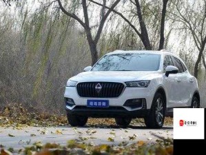 本色 bx57t 有什么特色：其独特之处详细解析