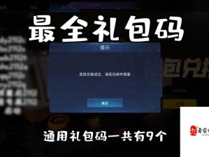 去吧皮卡丘新版公会礼包激活码领取详细指南