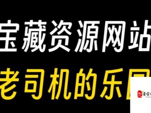 男同志网站：探索多元化性取向的交流平台