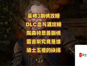 巫师三陶森特监狱进入方法全解析