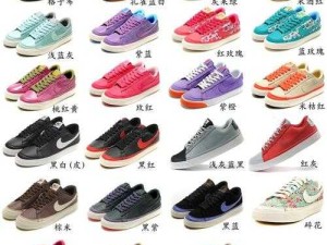 成品网站 Nike 源码免费下载在哪里：探寻其具体位置与获取途径